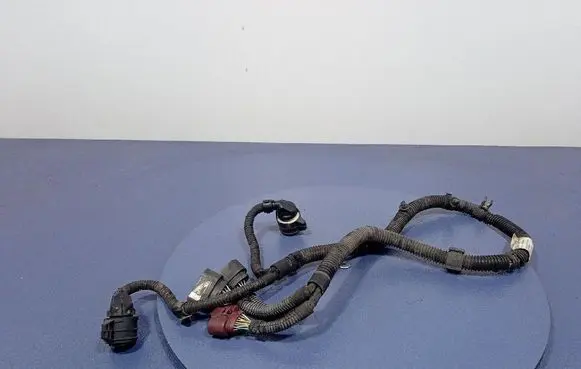 Porsche Panamera (970) Other wiring loom 971971772