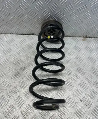 Volkswagen Golf VI Rear coil spring
