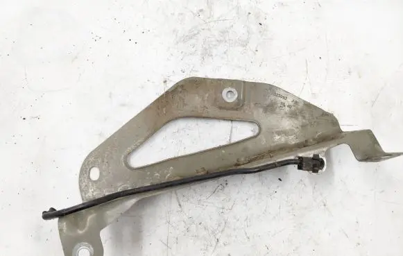 Engine bonnet/hood hinges