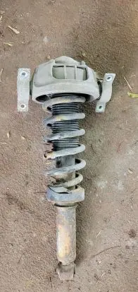Porsche Cayenne (9PA) Rear shock absorber with coil spring 7L5513029G 7L0512345