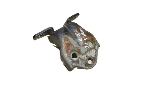 Front door lower hinge