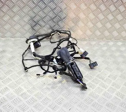 Jaguar F-Pace Rear door wiring loom HK8314633CC