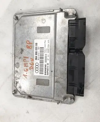 Engine control unit/module ECU