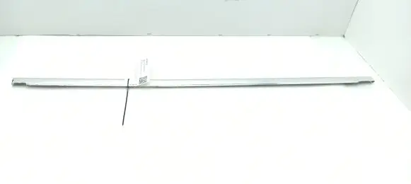 Rear door glass trim molding