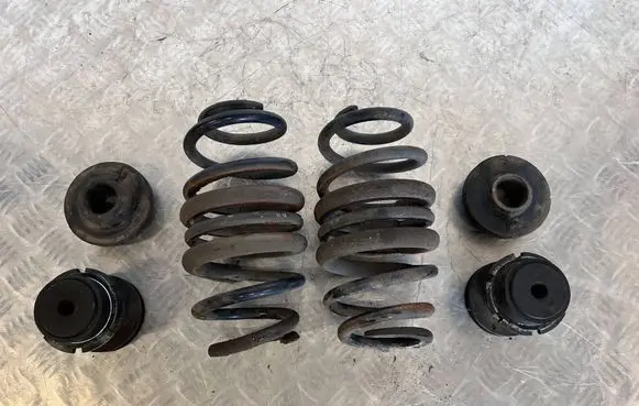 Rear coil spring