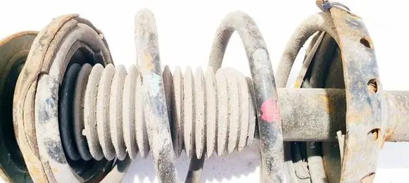 Front coil spring