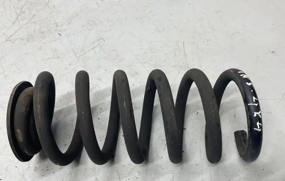 Opel Insignia A Rear coil spring