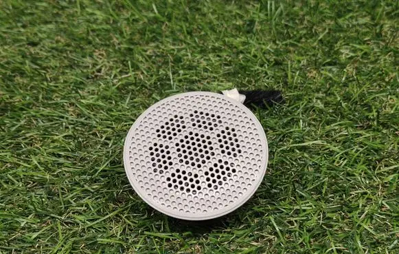 Front door speaker