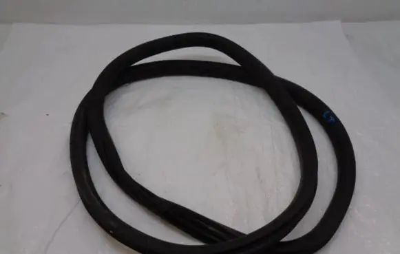 Citroen C4 III e-C4 Rubber seal rear door 