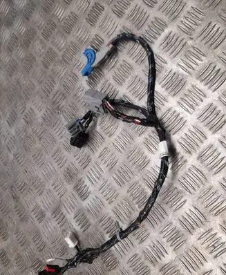 Chrysler Pacifica Other wiring loom FV166004