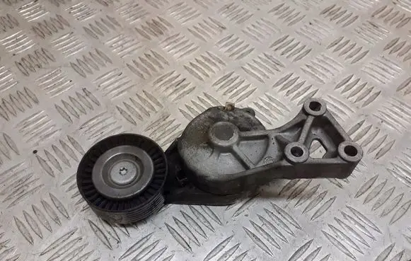 Volkswagen Golf IV Alternator belt tensioner pulley 950372