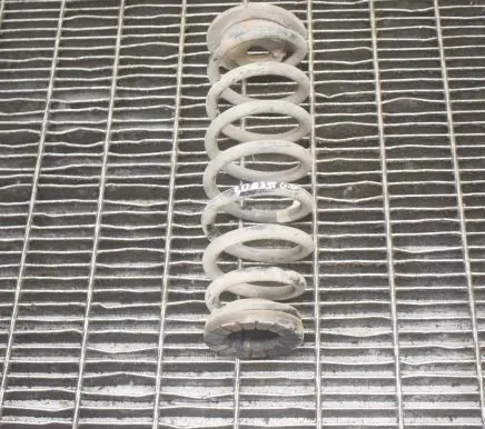 Hyundai Ioniq Rear coil spring 55350G2600