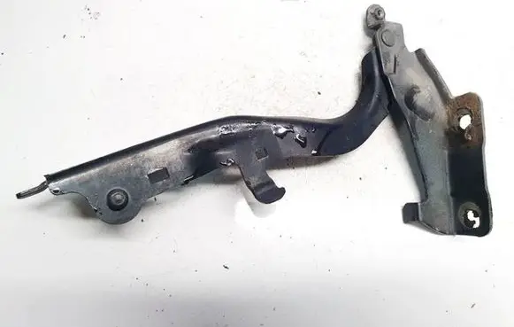 Infiniti QX50 (J50) Engine bonnet/hood hinges