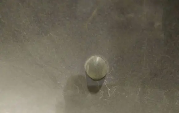 Renault Scenic I Windshield washer spray nozzle 