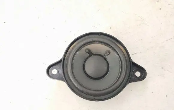Panel speaker