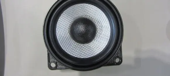 BMW X5 G05 Front door speaker
