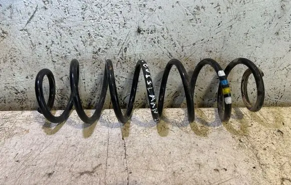 Rear coil spring