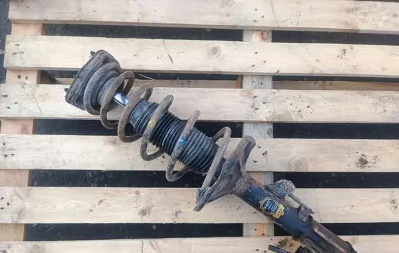 Hyundai Elantra Rear shock absorber with coil spring 