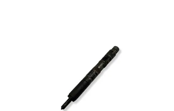 Ford Focus Fuel injector ZEJBR02201Z