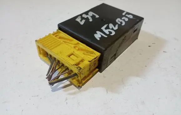 Immobilizer control unit/module