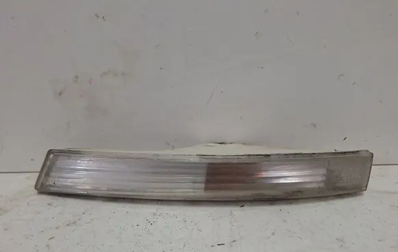 Volkswagen PASSAT B6 Front indicator light