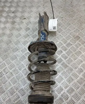 Opel Insignia A Front shock absorber/damper 