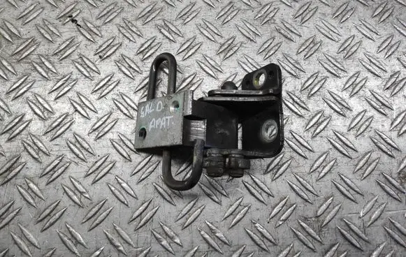 Volkswagen PASSAT B7 Rear door lower hinge A046572