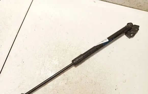 Renault Megane III Tailgate/trunk strut/damper