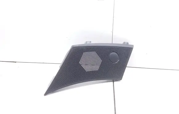 Side speaker trim/cover