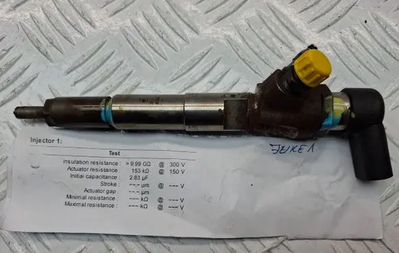 Nissan Juke I F15 Fuel injector H8201100113 1660000Q1W 166006212R