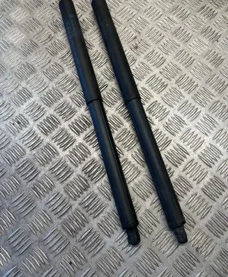 BMW X5 E70 Tailgate/trunk strut/damper 7177283