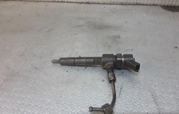 Fiat Punto (188) Fuel injector 0445110019