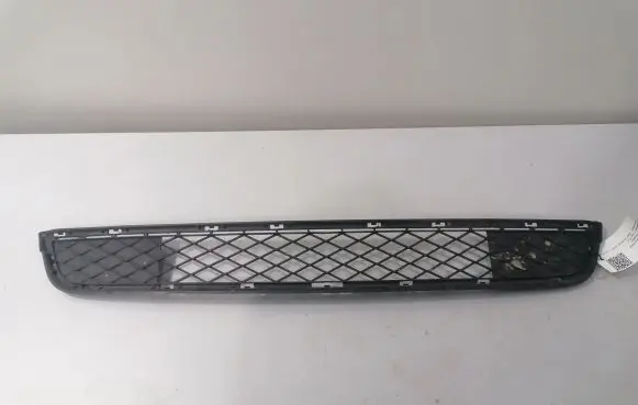 BMW X3 F25 Front grill 7210465