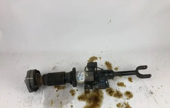 BMW 6 F06 Gran coupe Front shock absorber/damper 6863118 10541310 10008933
