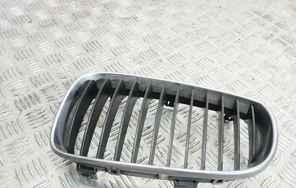 Front bumper upper radiator grill