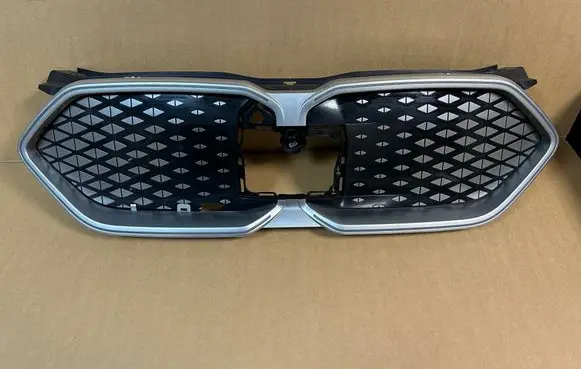 BMW X2 U10 Front grill 5A4B3D3 5A4B3C9