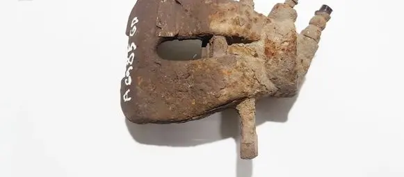 Citroen C3 Front brake caliper
