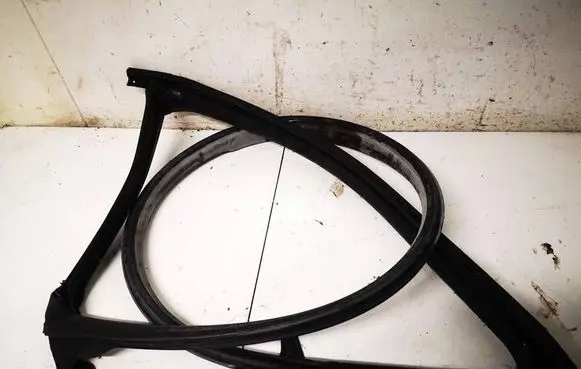Tesla Model 3 Rubber seal rear door 