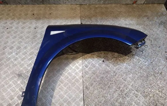 Renault Scenic II - Grand scenic II Fender