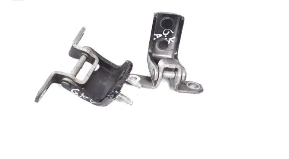 Rear door lower hinge