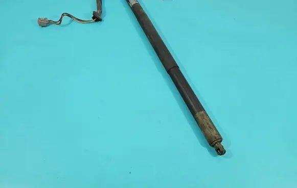 Tesla Model S Tailgate/trunk/boot lift motor 6006610-00-B IMPRK1414366