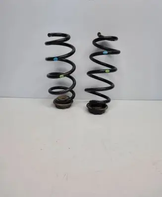 Rear coil spring