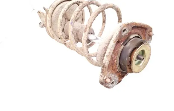 Fiat Bravo - Brava Front shock absorber with coil spring