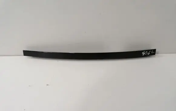 BMW X6 G06 Rear door glass trim molding 7446213
