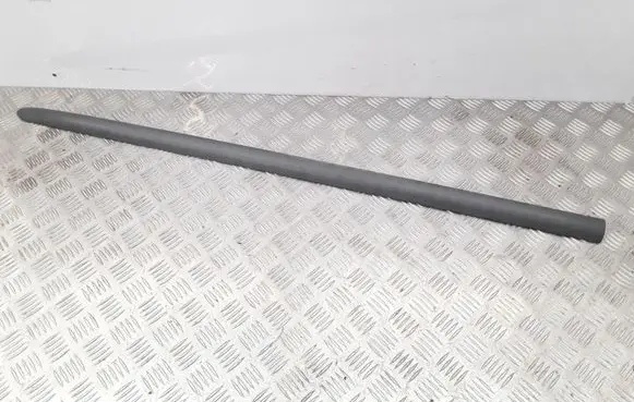 Nissan Almera Tino Front door trim (molding) 80870BUXXX