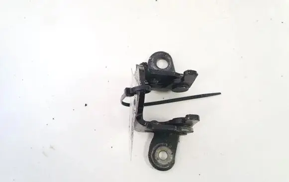 Chrysler Sebring (JS) Rear door lower hinge 85574f 256abr