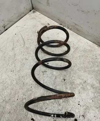 Toyota RAV 4 (XA20) Front coil spring 