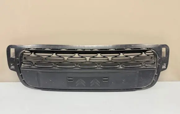 Citroen C3 Front bumper lower grill 9812061877