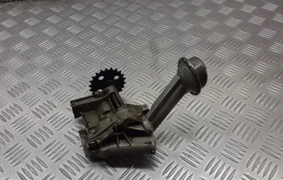 Renault Thalia I Oil pump chain 8200066237