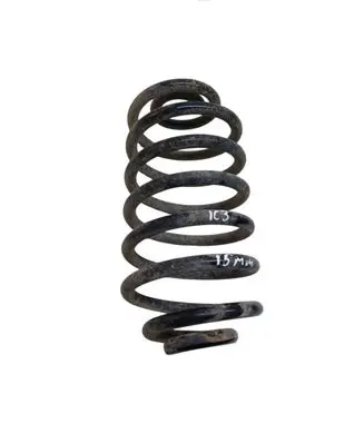 Rear coil spring